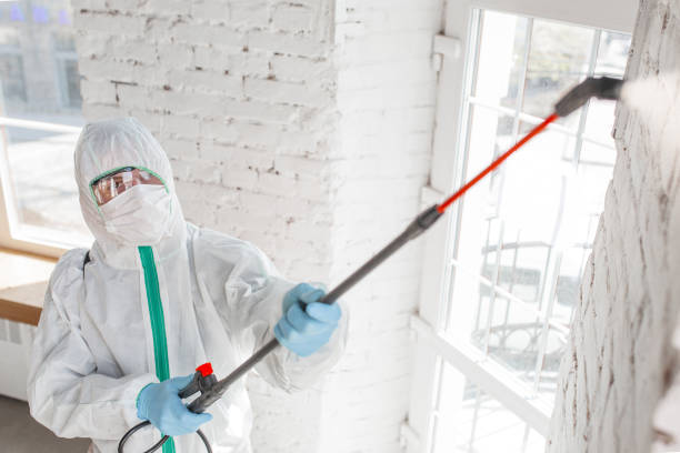 Biohazard Mold Removal in Bayshore Gardens, FL