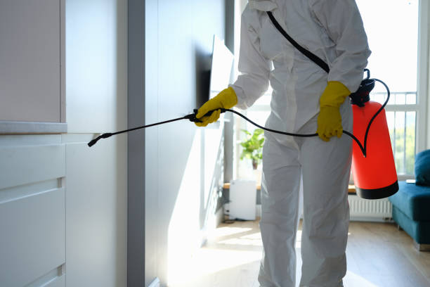 Best Attic Mold Removal  in Bayshore Gardens, FL