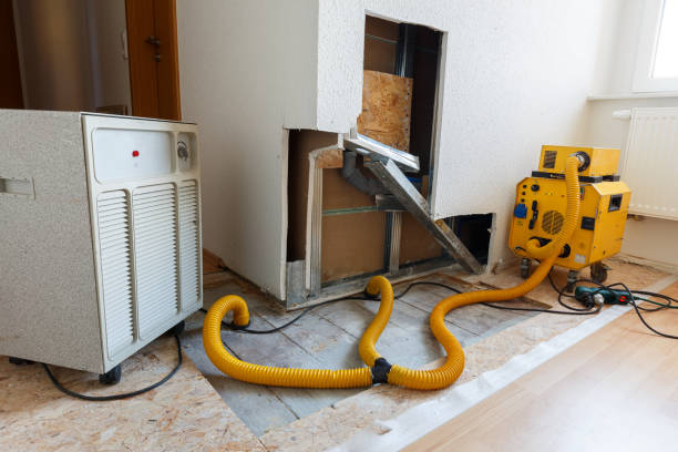 Mold Odor Removal Services in Bayshore Gardens, FL